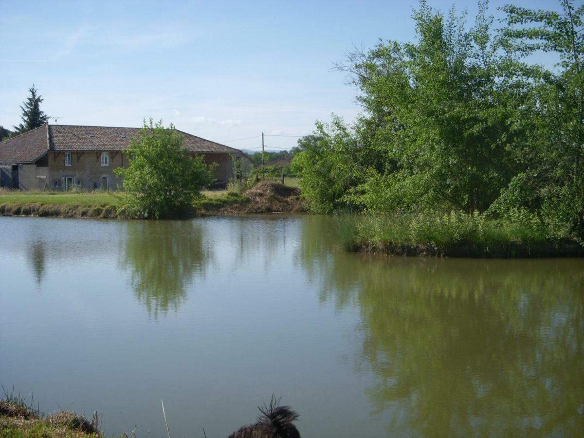 Gites Domaine De La Rochere Domsure Exterior foto